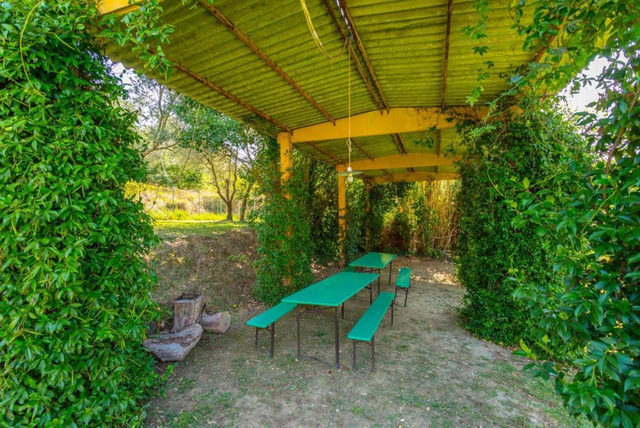 Casale Federica Arezzo